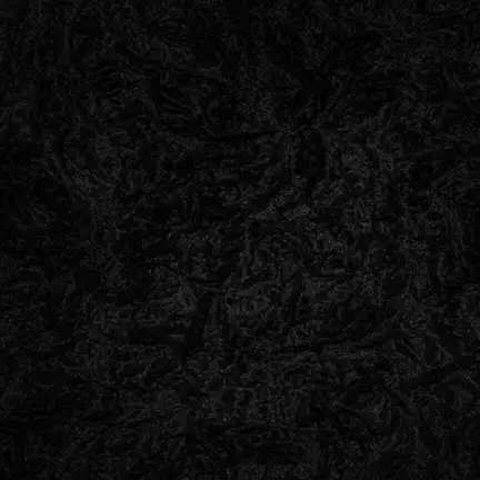 SHILAJIT VITAMIN JALEA 100ML