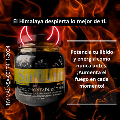 SHILAJIT VITAMIN JALEA 100ML